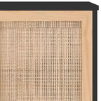 vidaXL Credenza Legno ingegnerizzato, legno massello di pino, rattan naturale
