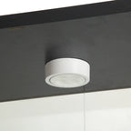 Vetrina in Vetro a Due Ante Illuminata con 4 Ripiani, Nero