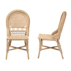 bali & pari Jelita Ensemble de 2 chaises de salle à manger modernes en rotin naturel bohème marron